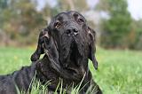 FILA BRASILEIRO 089